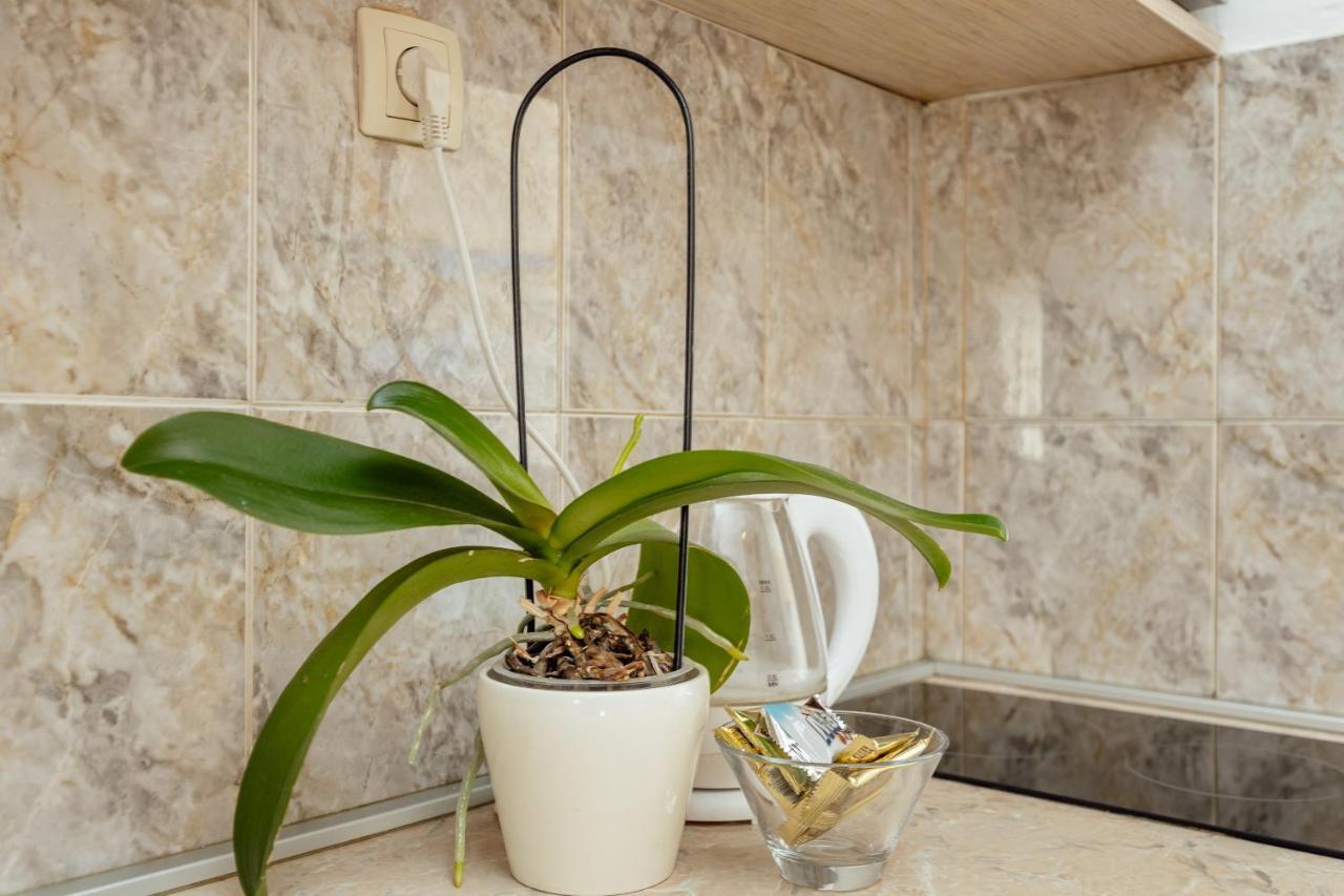 Apartmani Vico Herceg Novi Extérieur photo